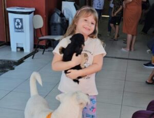 Mutirão de Castração  atende 160 animais em Navegantes