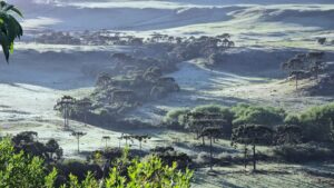 Saiba qual a previsão para o inverno de 2025 em SC