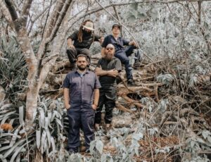 TerrAvista consolida sua identidade na música autoral