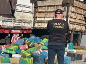 Quase 7 toneladas de maconha são apreendidas em SC