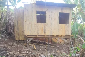 Prefeitura de São José derruba imóveis irregulares