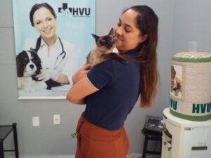Mutirão gratuito de castração é realizado em Orleans