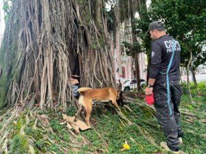 Operação prende dupla por tráfico na Praça XV