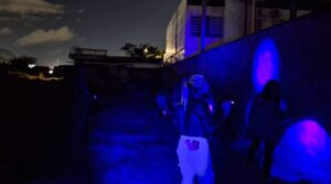 Capturas de escorpiões são intensificadas em Navegantes