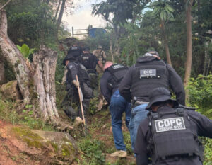 Cadáver é encontrado em área de mata em São José