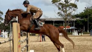 Torneio Hípico comemora os 190 anos da PMSC em São José