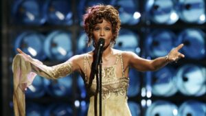 Tributo instrumental a Whitney Houston agita São José