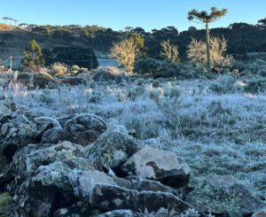 Município de SC registra -8ºC de temperatura