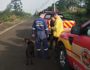 Seguem buscas aéreas e por terra por idoso desaparecido
