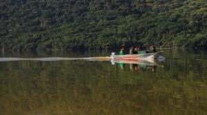 Lagoa do Peri é novo lar de filhotes de lontra