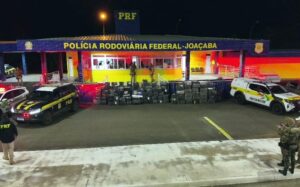 Quase 10 toneladas de maconha são apreendidas na BR-282