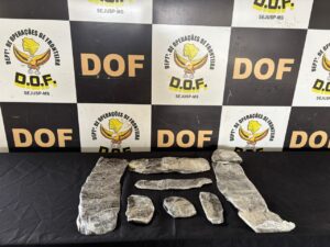 Droga junto ao corpo de jovem teria destino para SC