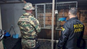 Operação combate tráfico de aves em SC