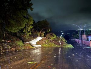 Temporal causa destruição no Oeste de SC