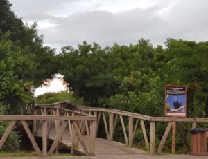 Navegantes recebe evento que une cultura, meio ambiente