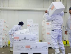 Sine SC abre 8.327 vagas de emprego, com 476 para PcD