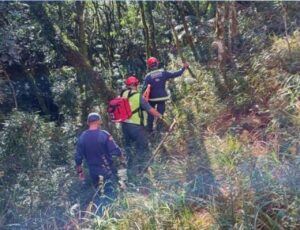 Idoso morre ao cair de ribanceira em Urubici
