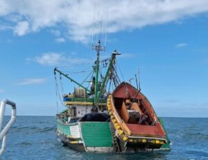 Barco com 15 t de tainha ilegal é apreendido