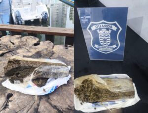 Tablete de maconha é achado boiando no Rio Camboriú