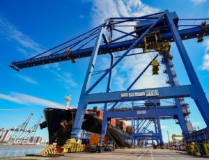 SC lidera exportações de madeira e móveis em 2025