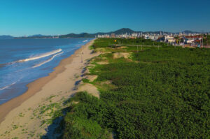 Navegantes inicia recuperação de 38 mil m² de restinga