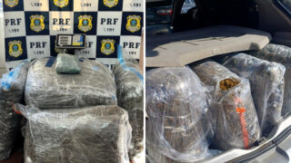 PRF Apreende 40 Kg De Skunk Na BR 101 Em Palhoca