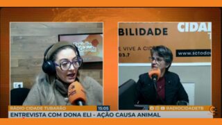 Protetora De Tubarao Tem 40 Dias Para Retirar 80 Caes