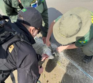 Redes de pesca próximas de portos de SC são recolhidas