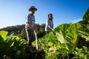 Mutirão no Dia do Agricultor é promovido na Capital
