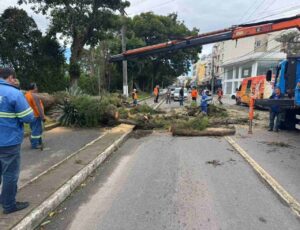 Ciclone provoca ventos de 100 km/h e estragos em SC