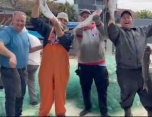 Lanço de tainha anima pescadores em Barra do Sul
