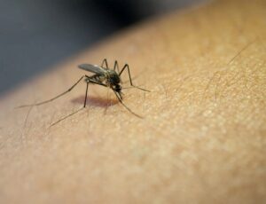 Itajaí confirma 4ª morte por dengue em 2025