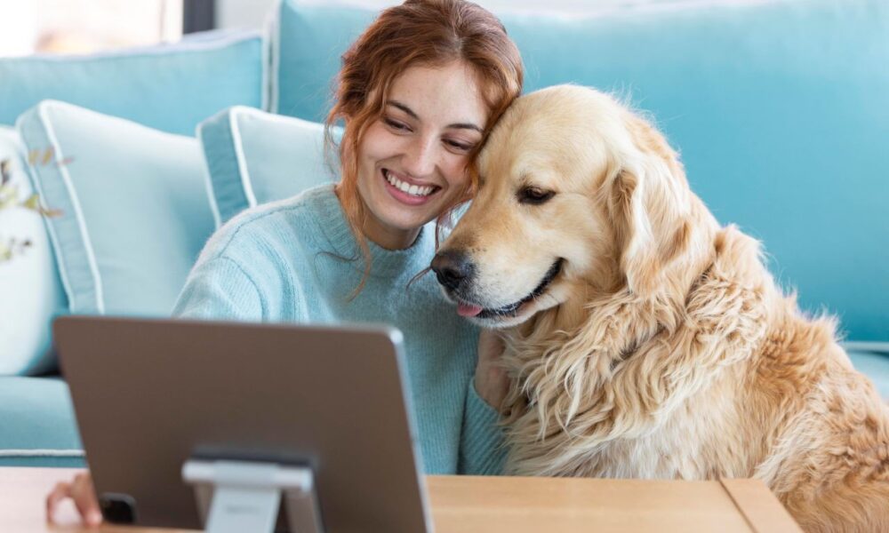 Apego excessivo a pets pode afetar saúde emocional