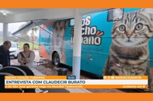 Treze de Maio intensifica castração para controlar animais
