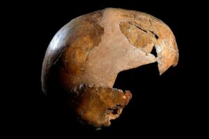 Encontrado fóssil de neandertal e Homo sapiens