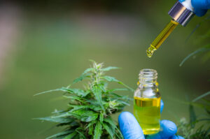 Criciúma avança na oferta de cannabis medicinal