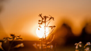 Frio E Sol Marcam Quarta Quinta Tera Mudanca