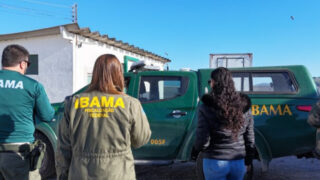Operacao Apreende 13 Toneladas De Pescado Sem Origem Em Laguna