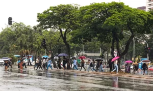 SC terá chuva isolada e rajadas de vento no domingo
