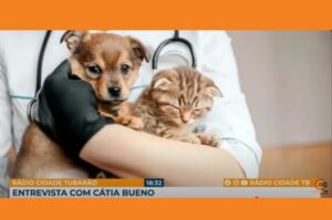 Tubarão tem apenas um mutirão de castração em 2025