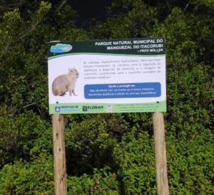 Convívio com capivaras será orientado na Capital