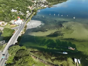 Navegabilidade é reestabelecida em canal da Capital