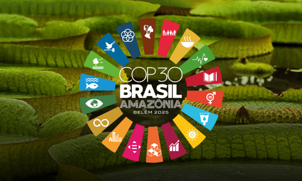 COP30 E OS ODS: POR QUE TODOS ESTAMOS CONVOCADOS?