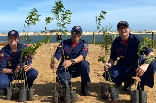 Bombeiros plantam mais de 140 árvores para compensar emissões no Sul de SC
