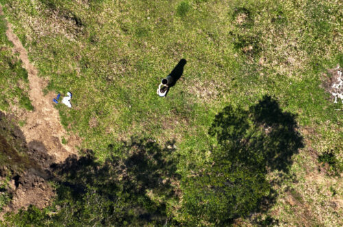 Criança com autismo é encontrada por drone dos Bombeiros em Criciúma