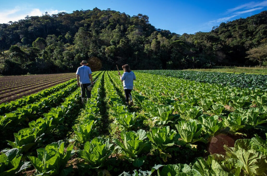 Florianópolis inaugura Banco de Alimentos Municipal