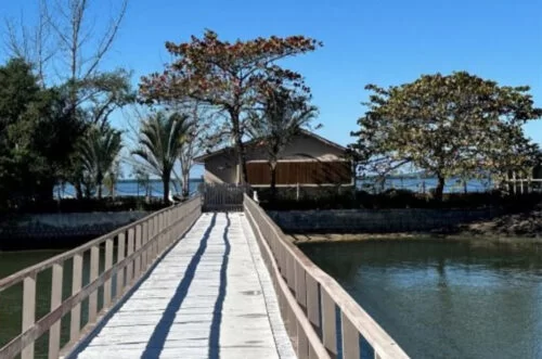 Ilha em Florianópolis é vendida por R$ 4 milhões após 124 lances em leilão