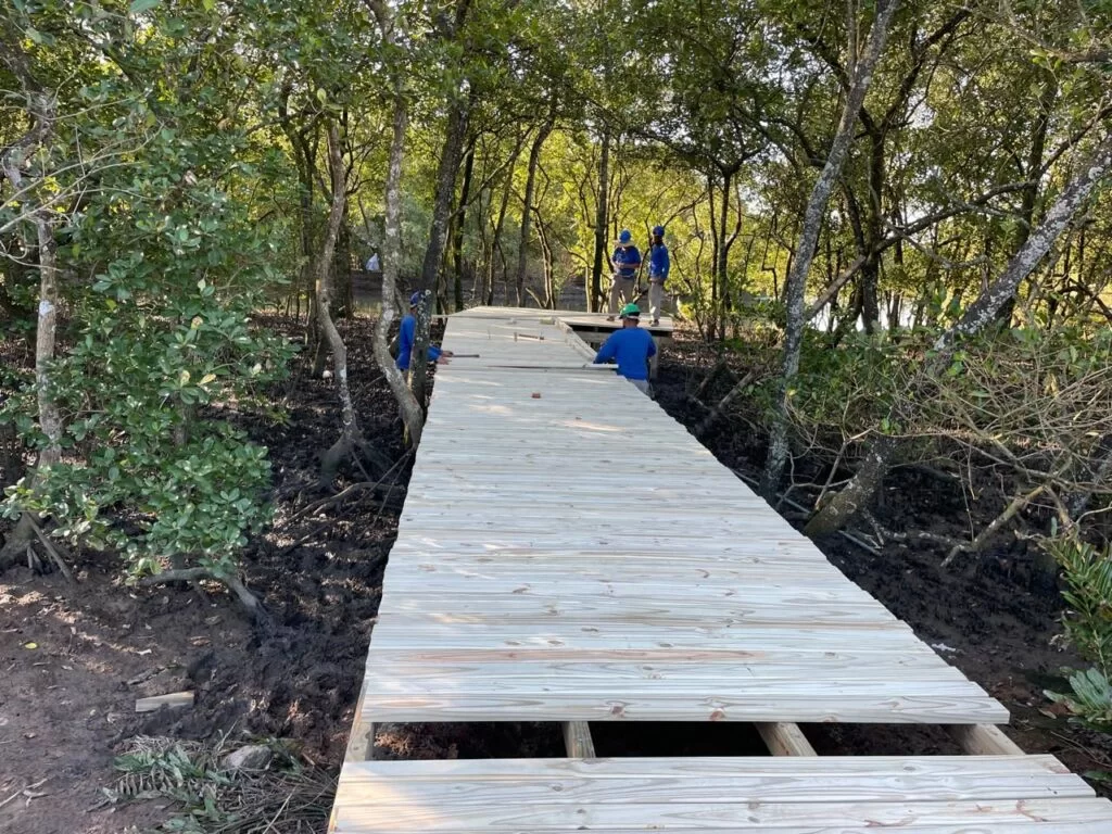 Manguezal do Itacorubi ganha nova passarela ambiental em Florianópolis