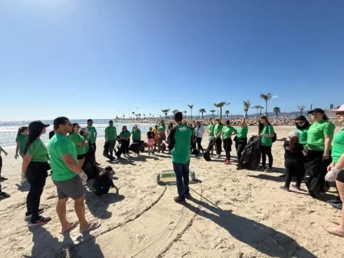 Mutirão recolhe 50 quilos de lixo na Praia Central de Itapema