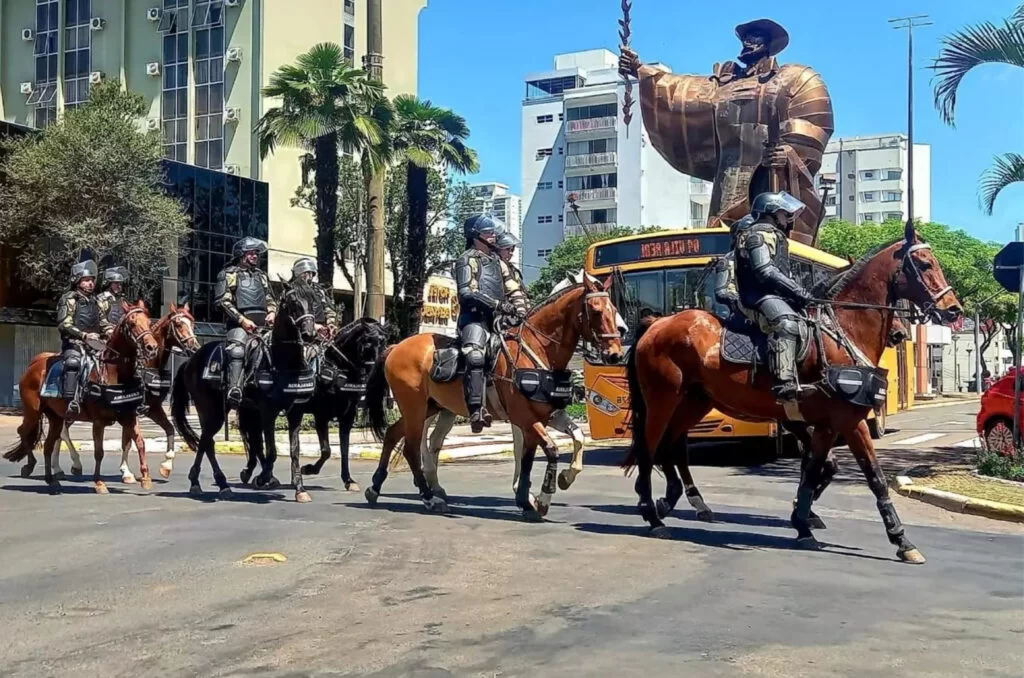 Polícia Militar abre inscrições para adoção de cavalos aposentados